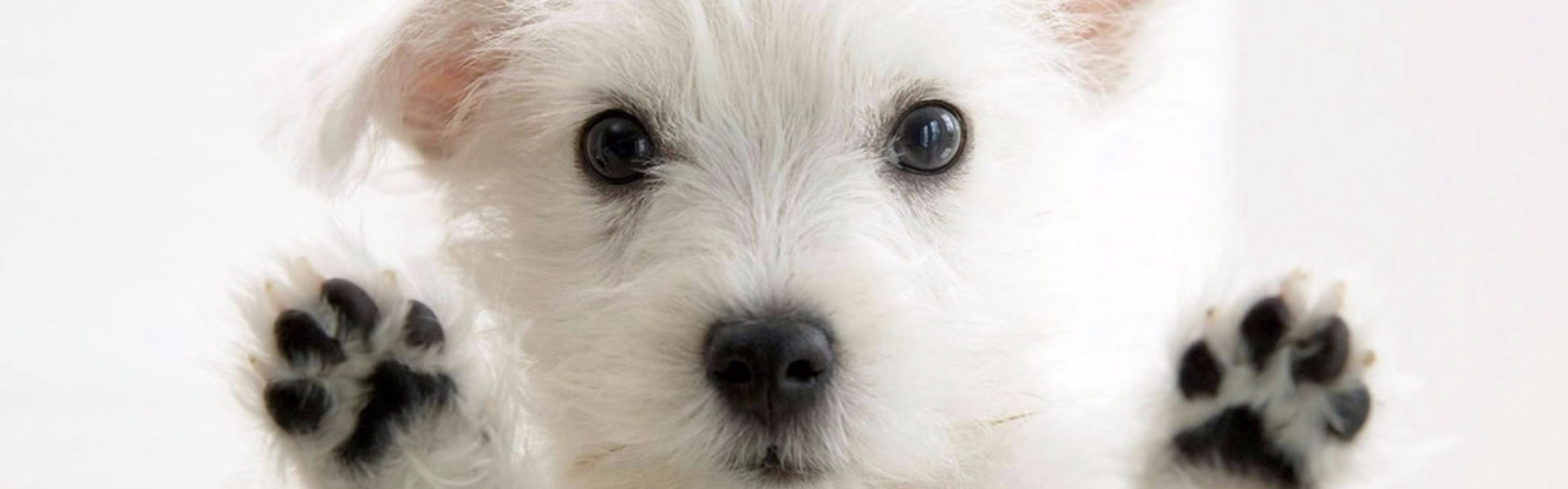 The friendliest SMS Platform